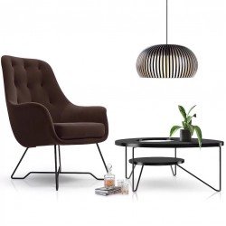 Chair in the Living Room EZO