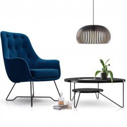 Chair in the Living Room EZO