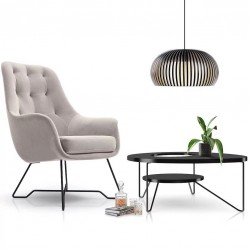 Chair in the Living Room EZO