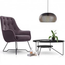 Chair in the Living Room EZO