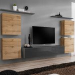 מזנון תלוי לסלון SWITCH IV - Wotan/Graphite