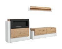 Showing image for wall unit QUEENS with bio fireplace wall unit QUEENS with bio fireplace image